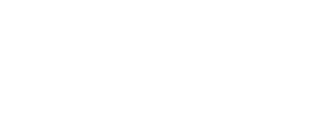 Vieticle